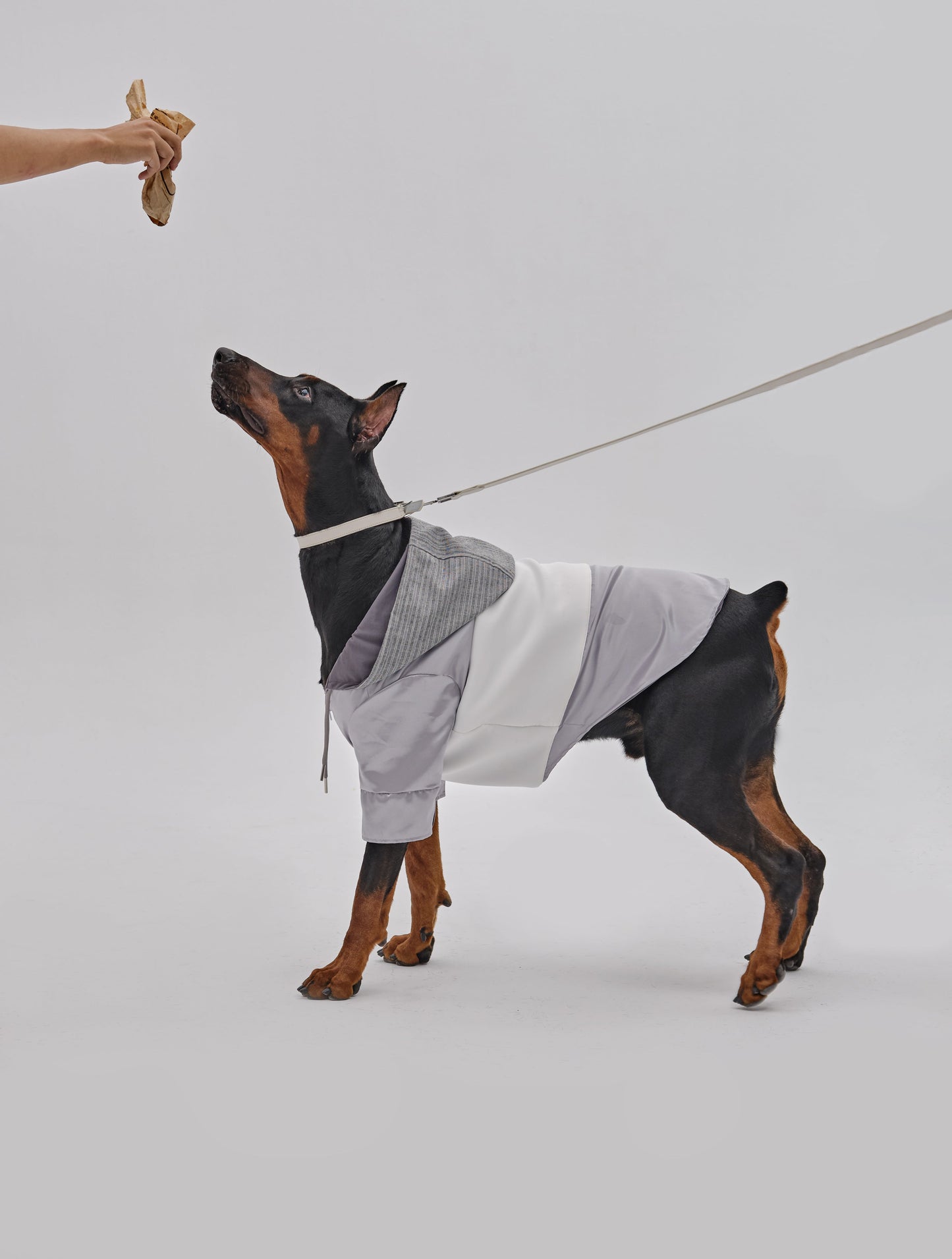 Andersen Calfskin Pet Collar